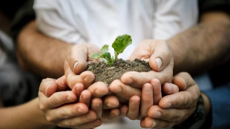 ইসলাম কেন ব্যক্তিগত ও সামাজিক দায়িত্ববোধের উপর জোর দেয়