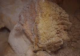 images_5_1_3_9