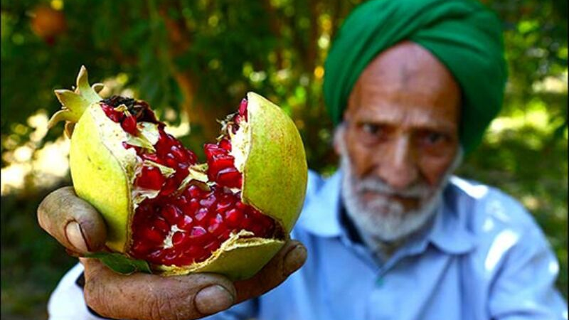 আবান মাস হলো ইয়াজদে ডালিমের ঋতু