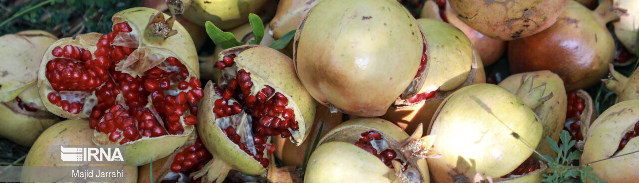 আবান মাস হলো ইয়াজদে ডালিমের ঋতু